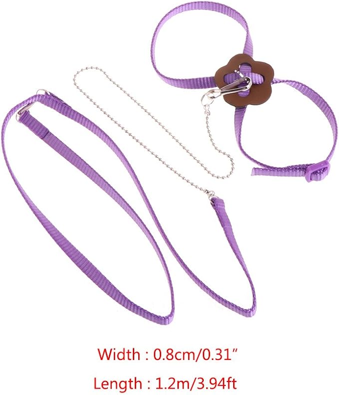 Adjustable Bird Harness Leash Parrot Flying Rope Straps Outdoor Training Traction Rope For Small Parrots Multi Colors Parrot Toys African Grey For Small Parrots For Large Birds Conure Macaw Parrot Set