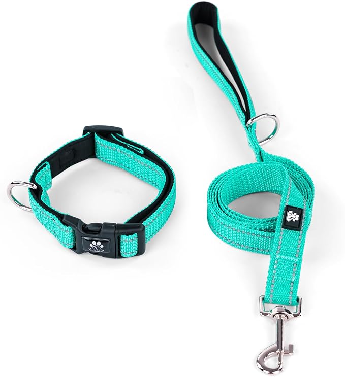IVY&LANE Reflective Dog Collar and Leash Set,Adjustable Neoprene Padded Dog Collars for Puppy, Breathable Nylon Pet Collar for Small Medium Large Dogs(Medium,Teal)