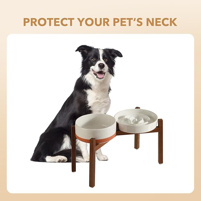 Havniva Elevated Slow Feeder Dog Bowls, 1.6 Cups/8.2 inch Slow Feeders + 7.3 inch Ceramic Dog Food & Water Bowls Set with Acacia Wood Stand Puzzle Bowls for Fast Eater, Medium Dogs Anti-Choking