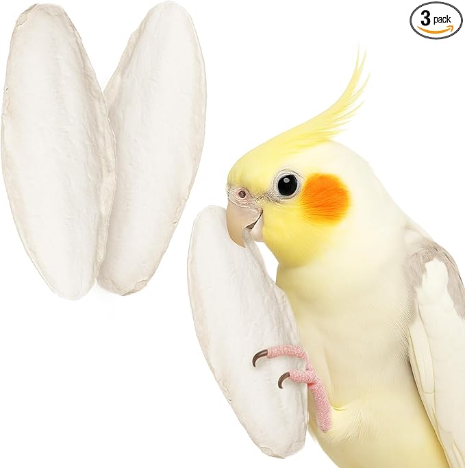 SunGrow 3 Pack Cockatiel Cuttlefish Bone, Calcium Addition to Bird Beak Care, Cage Mount Holder NOT Included, Support Shell Strength, Turtle, Shrimp, Dog, Snail, Aviary Clip, Accessory Reptile