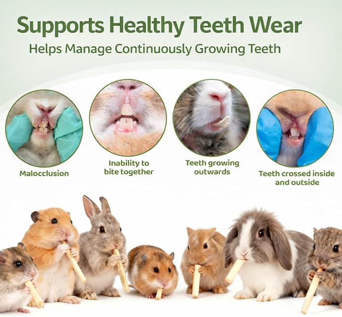 Sukh 320g Sweet Bamboo Chew-Sticks for Rabbits & Chinchillas - Natural Bunny & Rodent Bamboo Chew Toys for Teeth Grinding, Small Animal Chew Treats for Guinea Pig, Hamster, Chinchilla