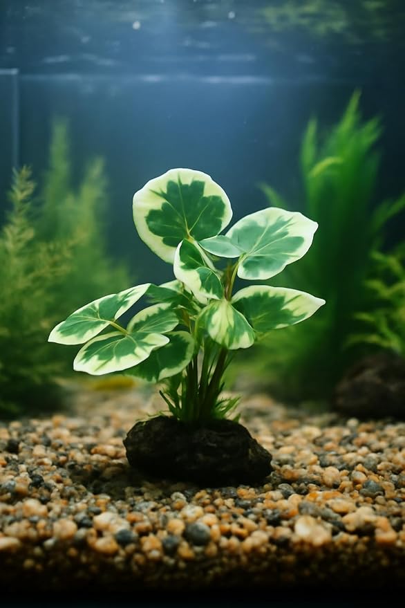 JGbaby Artificial Aquarium Plants,Fish Tank Decorations Betta Leaf Hammock 4in Realistic Silk & Plastic Plants, Hideout Decor for Betta. Goldfish,Reptiles,Small Tanks (Green Type-E)