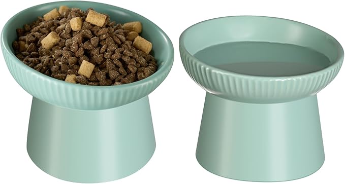 Ceramic Elevated Cat Bowls-Water Bowl, 15° Tilted Design, Anti-Vomiting & Spine Protection, Prevent Whisker Fatigue for Kittens to Adult Cats and Small Dogs (Green-15° Cat Bowls-2)