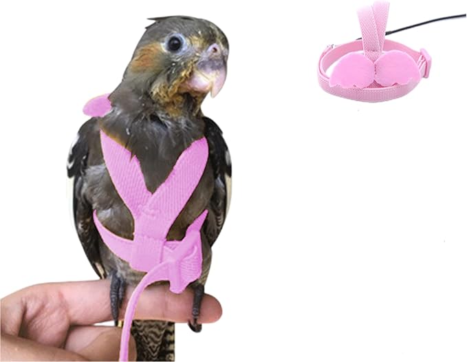 Bird Harness Parrot Leash -Adjustable Outdoor Flying Kit for Parrot Budgie Lovebird Cockatiel Macaw Parakeet (Pink,M)