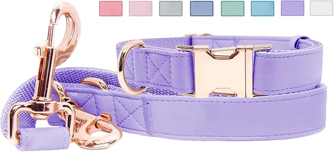 Soft Leather Dog Collar and Leash (6.6') Set - Stylish Rose Gold Heavy Duty Metal Buckle, 4 Adjustable Lengths Leash for Small Medium Large Dogs - Comfortable & Easy to Clean (S, Light Purple)
