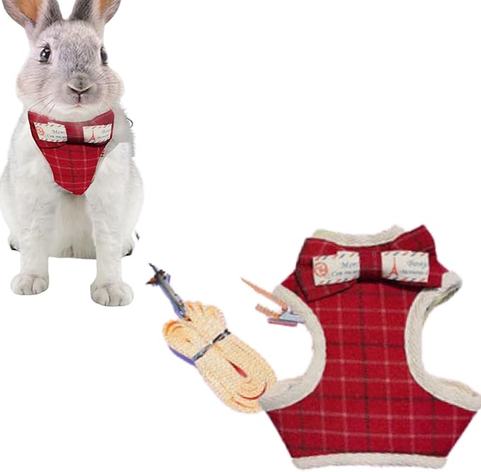 Pet Harness,Rabbit Harness and Leash Set, Cute Mesh Breathable Pet Vest Outdoor Camping Hiking Training, Bunny Jacket for Small Kitten, Puppy, Small Animal (Red,M)