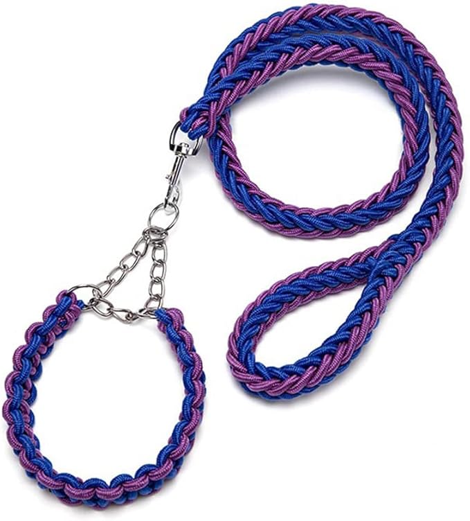Love Dream Dog Collar and Leash Set, Heavy Duty Nylon Braided Rope Strong 4 FT Dog Leash and Martingale Training Collar for Small Medium Large Dogs Training and Walking (Blue & Purple)
