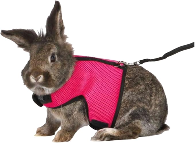 MANON ROSA Rabbit Harness and Leash Set - Adjustable Escape-Proof Training and Walking Gear for Guinea Pigs Bunnies Chinchillas Hamsters Ferrets Rats Kittens and Small Dogs Puppies Cats (Rose Red,XL)