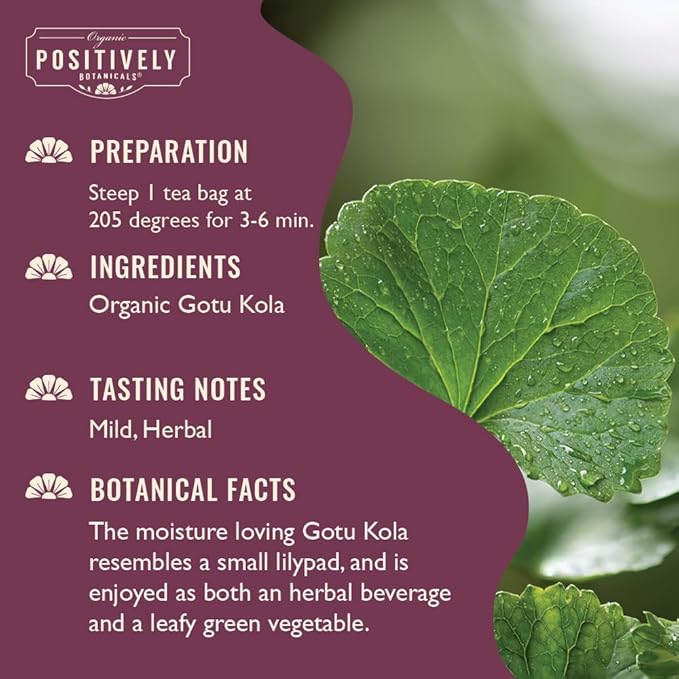 Organic Positively Botanicals Company, Gotu Kola Herbal Tea Bags, 20 Count