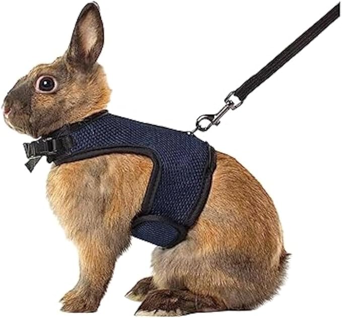 MANON ROSA Rabbit Harness and Leash Set - Adjustable Escape-Proof Training and Walking Gear for Guinea Pigs Bunnies Chinchillas Hamsters Ferrets Rats Kittens and Small Dogs Puppies Cats (Black,XL)