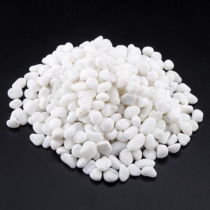1 Lb/460g White Stones Decorative Pebble Rock Sand for Aquarium/Fish Turtle Tank/Vase Filler/Succulent Plants Decoration (Fill 1 Cup)