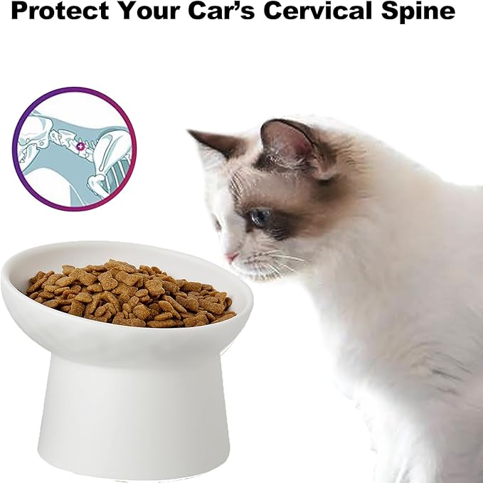 6 inch Small Ceramic Raised Cat Bowls, Tilted Elevated Food or Water Bowls, Stress Free, Backflow Prevention, Dishwasher and Microwave Safe, Lead & Cadmium Free(White 6 inch 2pc)