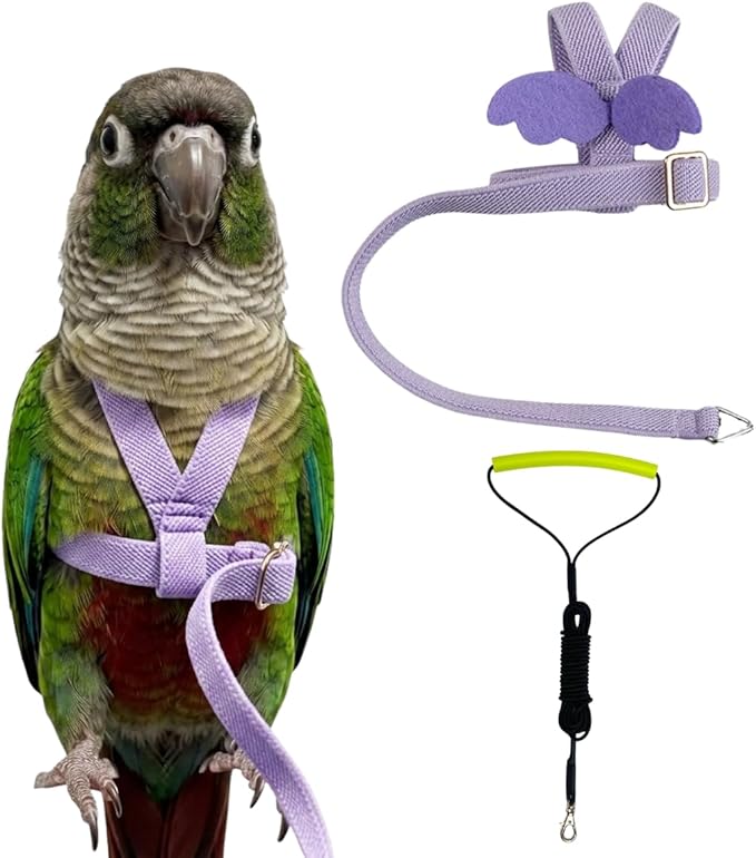 Adjustable Bird Harness with Elastic Leash, Pet Parrot Harness and Leash, Adjustable Training Design Anti-Bite, Bird Nylon Rope with Cute Wing for Conure (Purple,M)