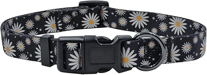 Dog Collar Leash Set, Floral Pattern, Polyester Material, Adjustable Collar and 5ft Matching Leash, for Medium Dogs.(M, Black Daisy)