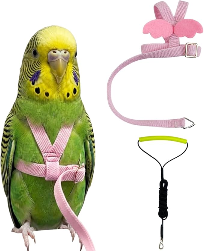 Adjustable Bird Harness with Elastic Leash, Pet Parrot Harness and Leash, Adjustable Training Design Anti-Bite, Bird Nylon Rope with Cute Wing for Conure (Pink,XS)