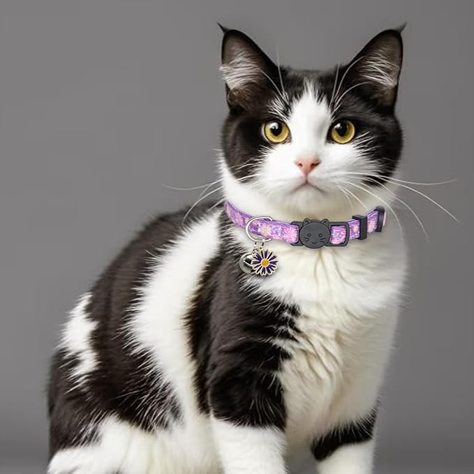 Cat Collar Breakaway, 2 Pack Cotton Kitten Collars with Bells and Removable Charms, Cute Flowers Shaped for Indoor Boy, Girl and Adult Cats, Purple and Blue