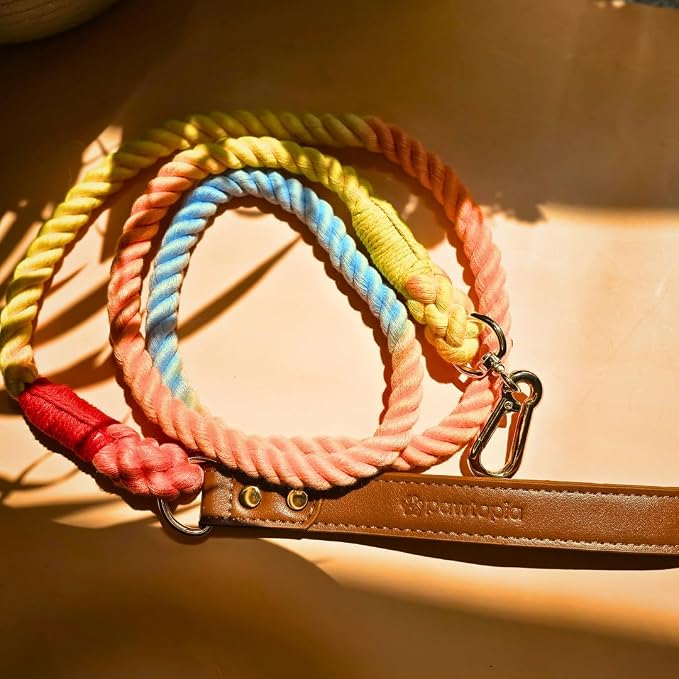 Pawtopia 5FT Dog Leash & Collar Set - Large Dogs, Cotton Braided Rope with Vegan Leather Handle (Brown) with Two Complimentary Rolls of Dog Poop Bags (30 Bags), Durable Clasp (Vivid Rainbow, Large)