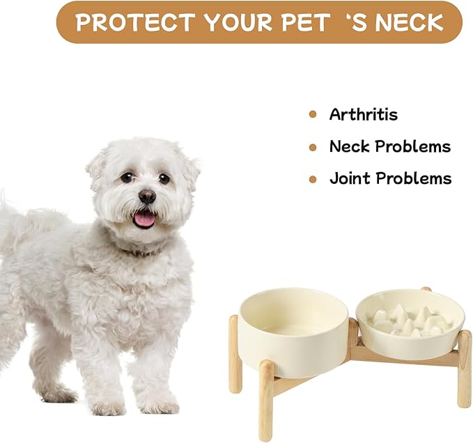 Havniva Ceramic 0.9 Cup Raised Slow Feeder Dog Bowl Set, Elevated 6.1inch Slow Dish and 6.1inch Water Bowl with Wooden Stand for Small Dogs (2 x Light Yellow+ Stand)