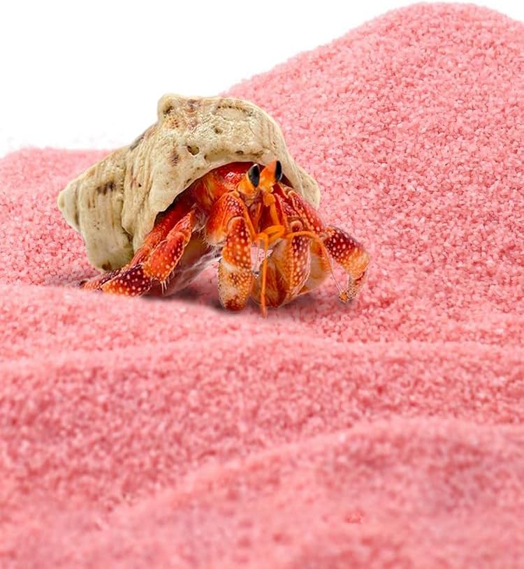 Hermit Crab Substrate Sand, Substrate Sands, Aquarium Sand, Terrarium Bedding, Reptiles, Aquarium Decorations, Starfish, Clownfish, Shallow-Water Creature Supplies, Amphibians (600, g)