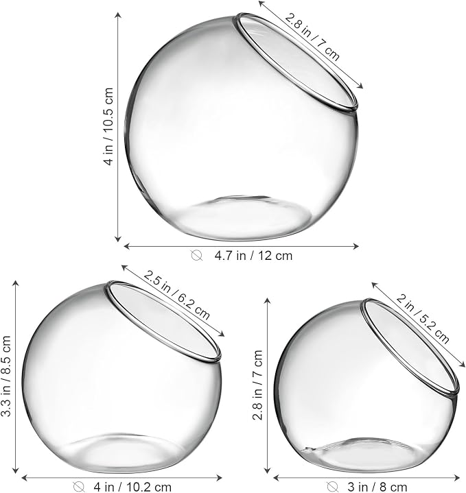 Milisten 3pcs Glass Terrariums for Plants, Slanted Terrarium Jar, Glass Fish Bowls for Air Plant Succulent Cactus Moss, Clear Globe Vase Container for Home Desktop Micro Landscape Decor, 3 Size