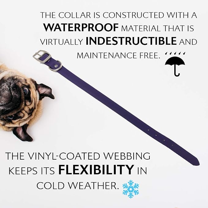 Regal Dog Products Large Purple Waterproof Dog Collar and Leash Set | Heavy Duty Double Buckle & D Ring - 5'ft Leash | Adjustable Biothane Dog Collar | Chew Resistant Waterproof Collar for Dogs