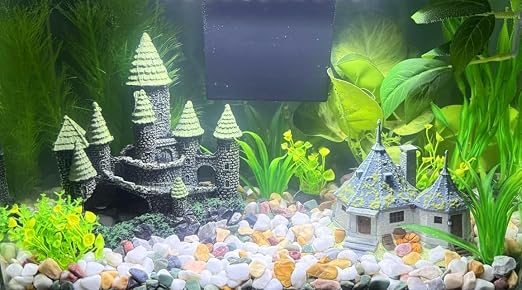 Small Aquarium Gravel for Fish Tank, Natural River Rock Pebbles for Plants Indoor, Pea Gravel for Landscaping, Aquarium Substrate (1Lb, 0.4" to 0.8")