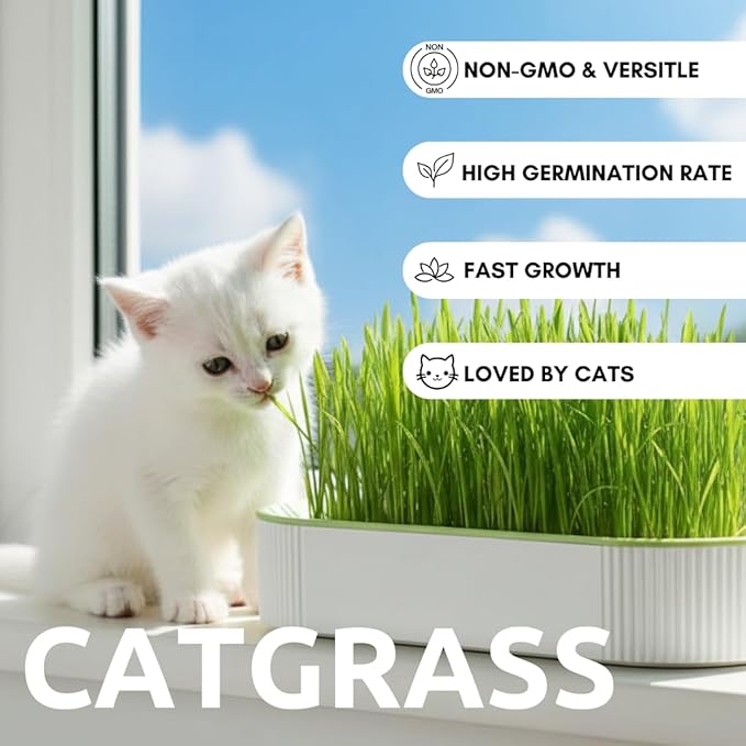 Hydroponic Cat Grass Grow Kit for Indoor Cats - Cat Lover Gift - New Pet Present - Grow Container and 2 Oz Cat Grass Non-GMO Seeds - No Soil or Tools Needed - Modern Look - Loved by Pets