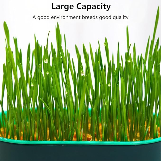 iayokocc Cat Grass Planter, Hydroponic Cat Grass Box Trays for Sprouts Growing Kits, Indoor Gardening System for Pets, Soil-Free Planter(3PCS)