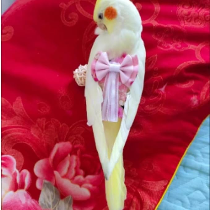 Bird Diaper Cockatiel Clothes Flight Suite, Reusable Parrot Nappy with Waterproof Inner Layer, Cute Pigeon Pants Urine Wet Suit Costume for Conure Macaw (Purple,M)
