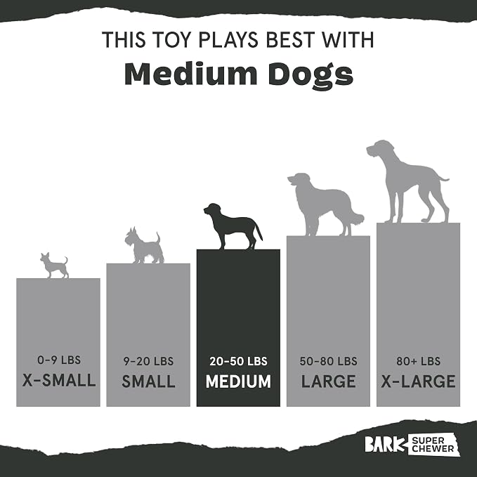 Barkbox Jelly Fetch Dog Toy for Medium Dogs – Perfect for Tug and Fetch Play, Durable Design with Strong Nylon Straps for Long-Lasting Fun