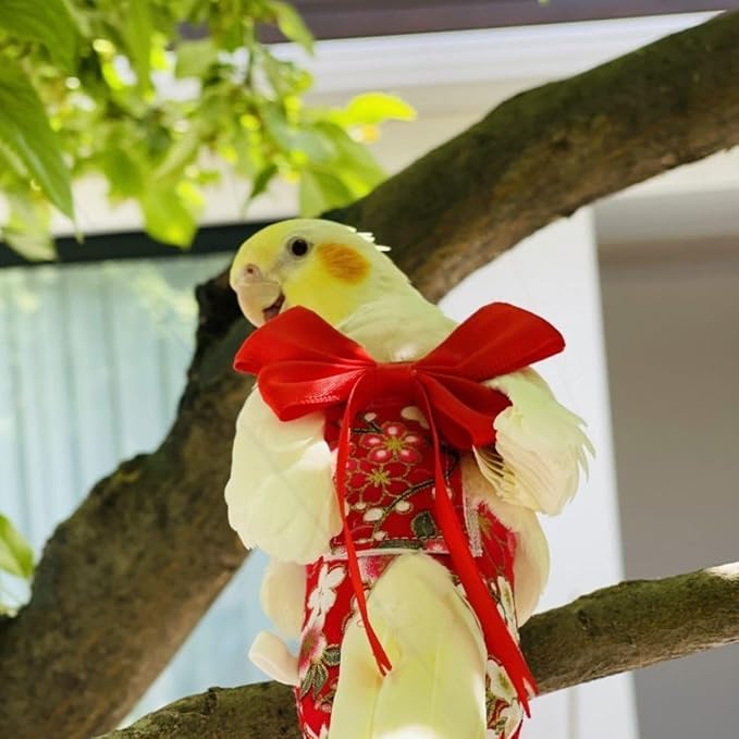Bird Diaper Parrot Washable Diapers, Parrot Flight Suit, Reusable Nappies for Parakeet Cockatiel Mini Macaw Budgie Conure Lovebird (Red,XS)