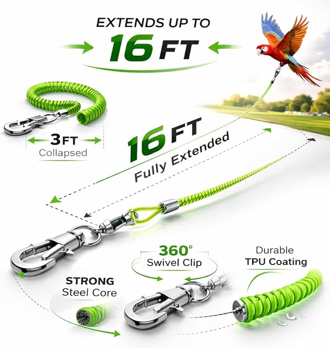 Parrot Bird Harness Leash Anti-bite Outdoor Flying Training Rope with 5pcs Different Sizes of Soft Foot Loops and Training Whistle(Upgraded Version of Ankle Ring)