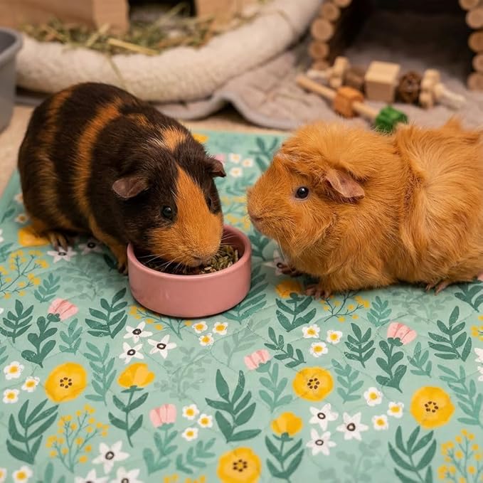 Guinea Pig Bedding, 49x24in 2 Pack Washable Guinea Pig Cage Liners, Waterproof Reusable & Anti Slip, Super Absorbent Guinea Pig Pee Pad for Midwest Cage, Small Animal, Rabbit, Bunny, Green