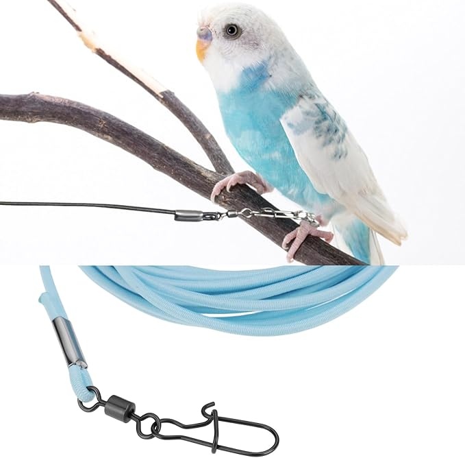 Bird Harness Flying Training Rope 3M for Parrots Pigeons and Budgerigars with 4# Ring (Blue)