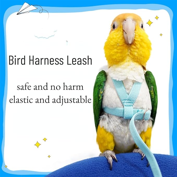 Bird Harness Leash Adjustable Outdoor Training Flying Harness Traction Rope with Cute Wing for Parrots Pigeons Budgerigar Lovebird Cockatiel Mynah (L,Blue)