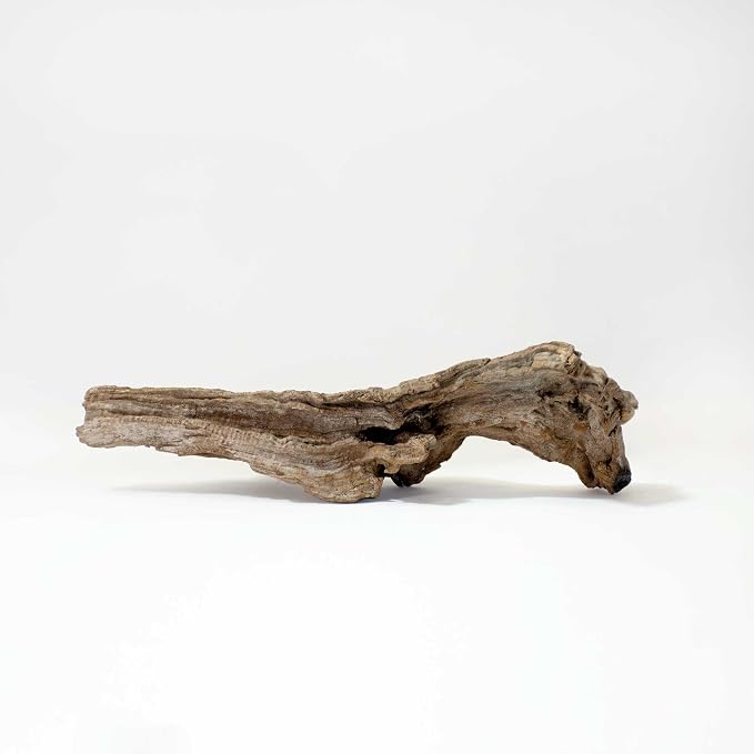 Galápagos (05285) Sinkable Driftwood Bed, Natural, Medium/11-13"