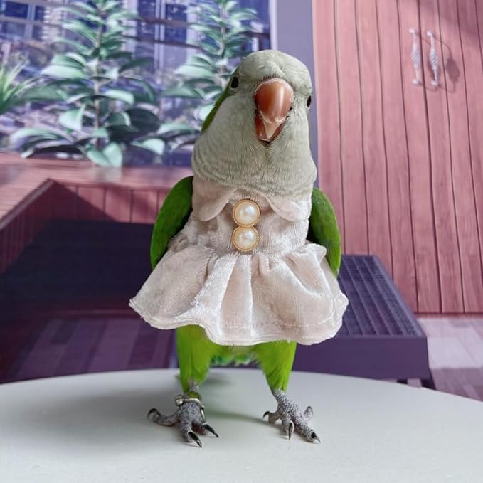 Bird Costume Bird Diaper Flight Suit Parrot Velvet Fleece Skirt Clothes Cosplay Photo Prop for Conure Lovebird Parakeet Cockatiel Macaw Small Animals Apparel (White,Macaw)