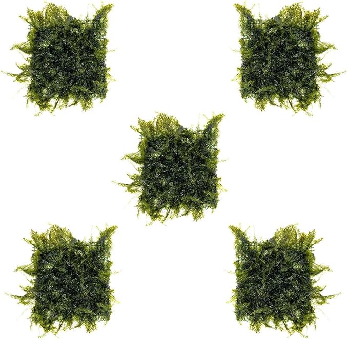 Live Aquarium Plants on Driftwood, Lava Rock, Moss, Fiber Mat - Freshwater Fish Tanks - Easy, Beginner Friendly (Fissidens Fontanus on Stainless Steel, (5 Pack))