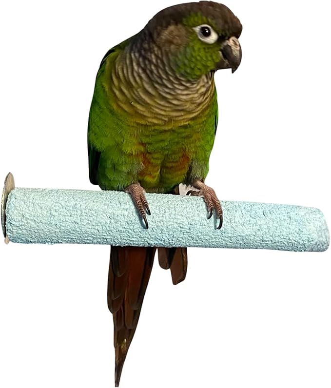 Polly's Pastels Nail Trimming & Beak Conditioning Safety Perch for Cockatiels, Cockatoos, Macaws, Parakeets, Budgies, Parrots and All Other Birds (Blue, Small-1" Dia. x 6" Long)