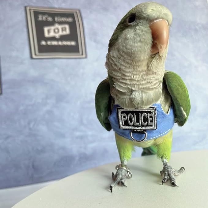 Bird Flight Harness Vest, Parrot Flight Suit with Leash, Bird Flying Clothes with Rope and Handle for Outdoor Activities (Without Leash,Cockatiel) (Without, M)