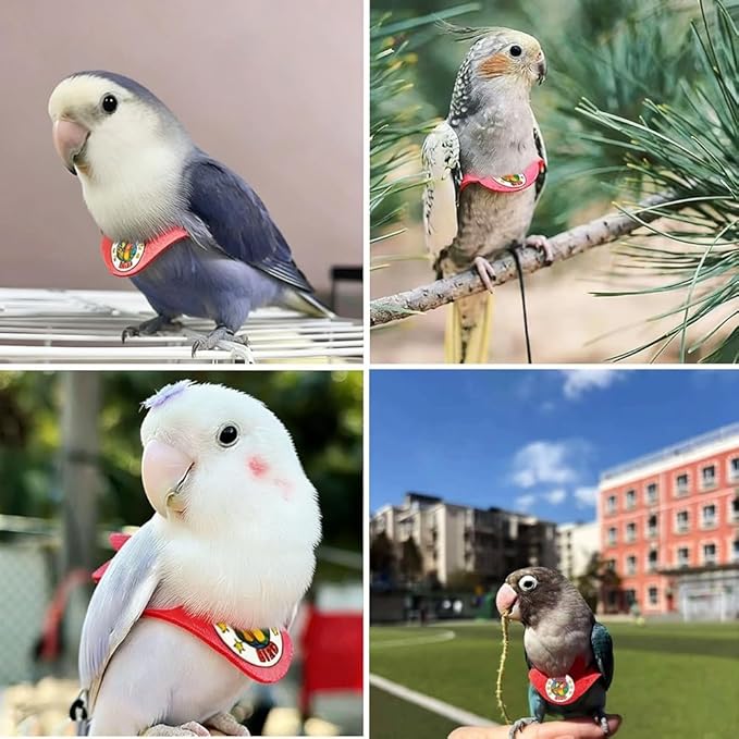 Adjustable Bird Harness & Leash Set for Small Birds,FitsBudgie,Parakeets, Conures, Cockatiels,Green Cheek,Quaker Parrots(Red, S) Z6350-2