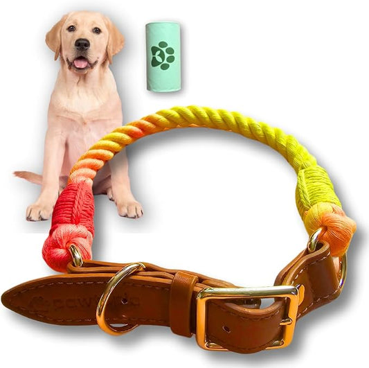 Pawtopia Cotton Braided Rope Collar for Large Dogs, Vegan Leather Handle (Brown) with One Complimentary Roll of Dog Poop Bags (15 Bags), Durable Metal Buckle (Vivid Rainbow Color, Large)