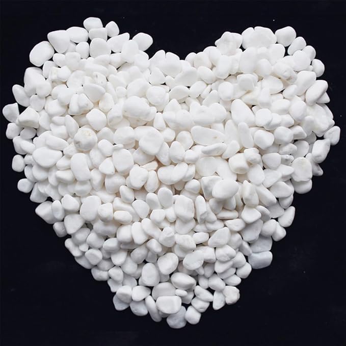 1 Lb/460g White Stones Decorative Pebble Rock Sand for Aquarium/Fish Turtle Tank/Vase Filler/Succulent Plants Decoration (Fill 1 Cup)