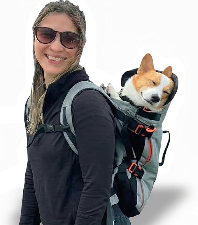 Maxine One Dog Backpack Carrier for Medium Dogs by Little Chonk | Adjustable & Ergonomic Front Facing Dog Carrier Backpack | Built to be Safer | Pet Backpack Carrier Featured in Wired Magazine - Gray