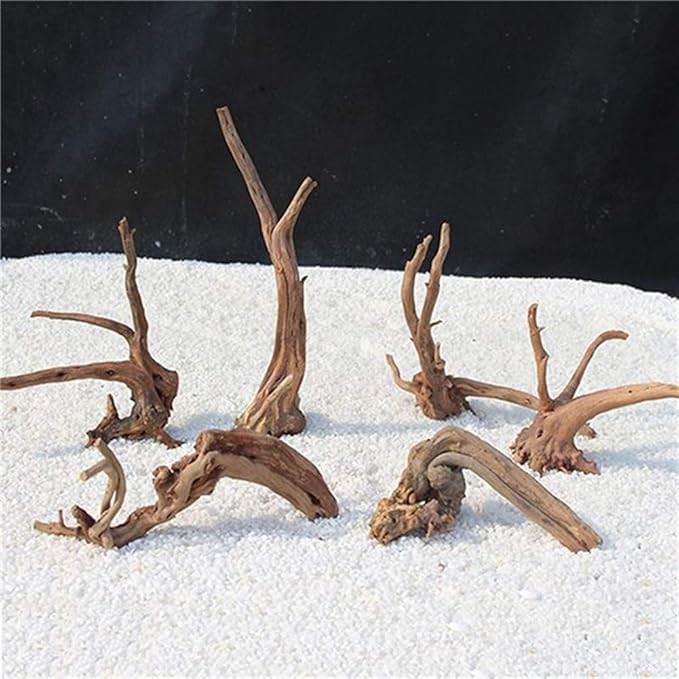 Tfwadmx Aquarium Driftwood Natural Wood 4''-7'' Reptile Branch Fish Tank Tree Plant Stump Ornament Decor 4 PCS