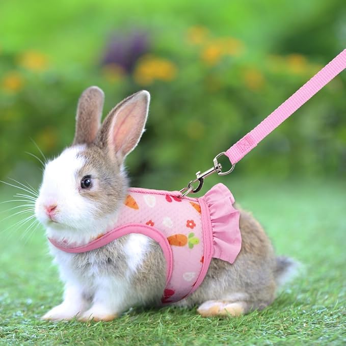 Hotlion Rabbit Harness and Leash Set, Cute Breathable Bunny Leash and Harness Set Soft Mesh Vest Harness for Rabbits Hamster Clothes Kitten Ferret Guinea Pig Puppy Small Pets Walking Gear, Blue S
