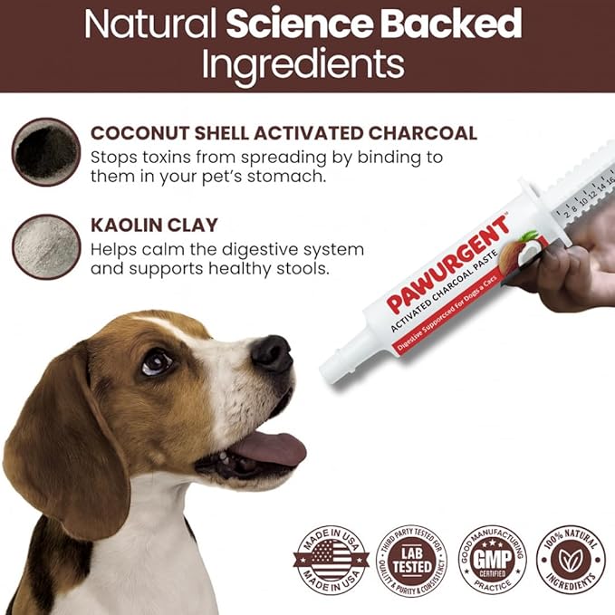 30 cc Activated Charcoal Gel for Dogs for Poisoning, Dog First Aid Activated Charcoal, Animal Use Only