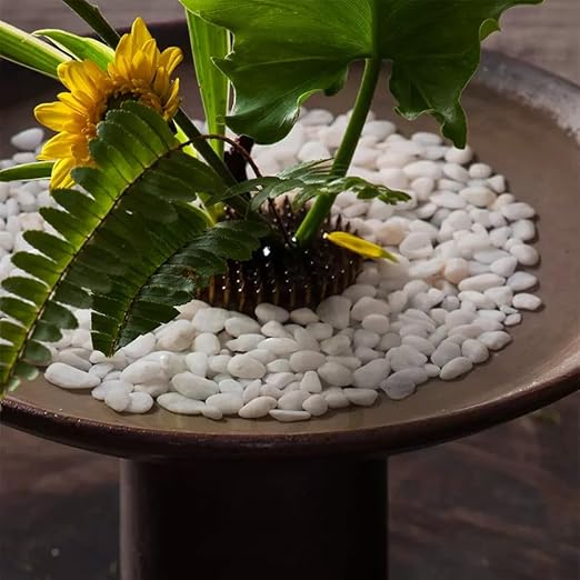 2.0 LB White Aquarium Gravel Pebbles 3/8", Natural Decorative Aquarium Substrate Small River Rocks, Mini Pebbles Stone for Fish Tank, Aquatic Plant Bonsai, Hydrophyte