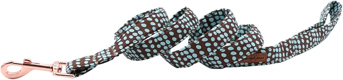 Unique Stlye Paws Strong Dog Leash with Soft & Comfortabel Handle Multipurpose Leashes for Small Medium Large Dogs and Cats