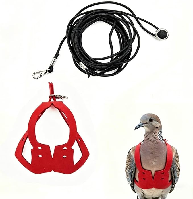 Adjustable Bird Harness & Leash Set for Small Birds,FitsBudgie,Parakeets, Conures, Cockatiels,Green Cheek,Quaker Parrots(Red, XL) Z6350-11